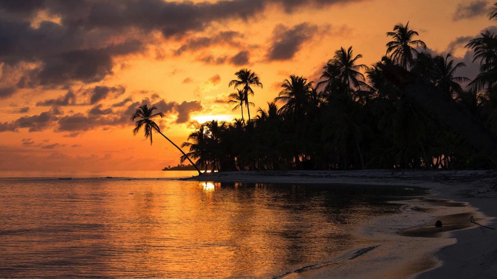 Caribeacom